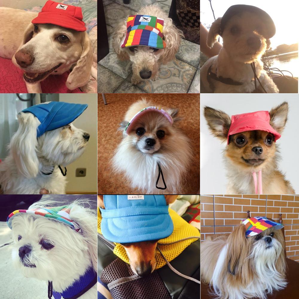 Casquette de Baseball pour Chien