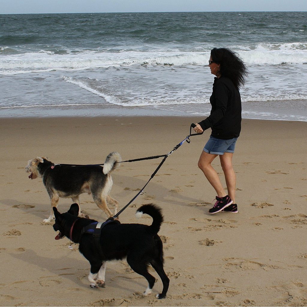 Premium Laisse Double pour Chien