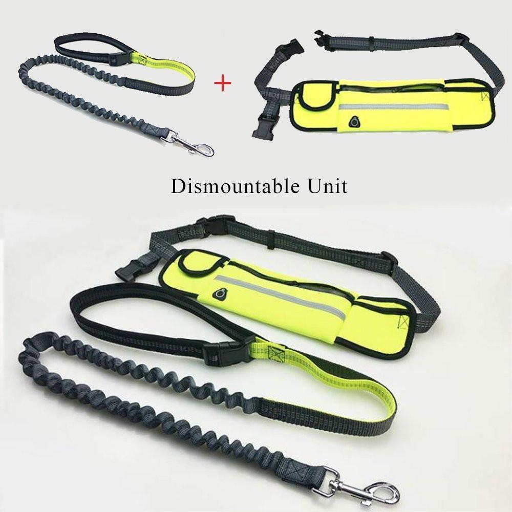 Laisse de Course Mains-Libres pour Chien