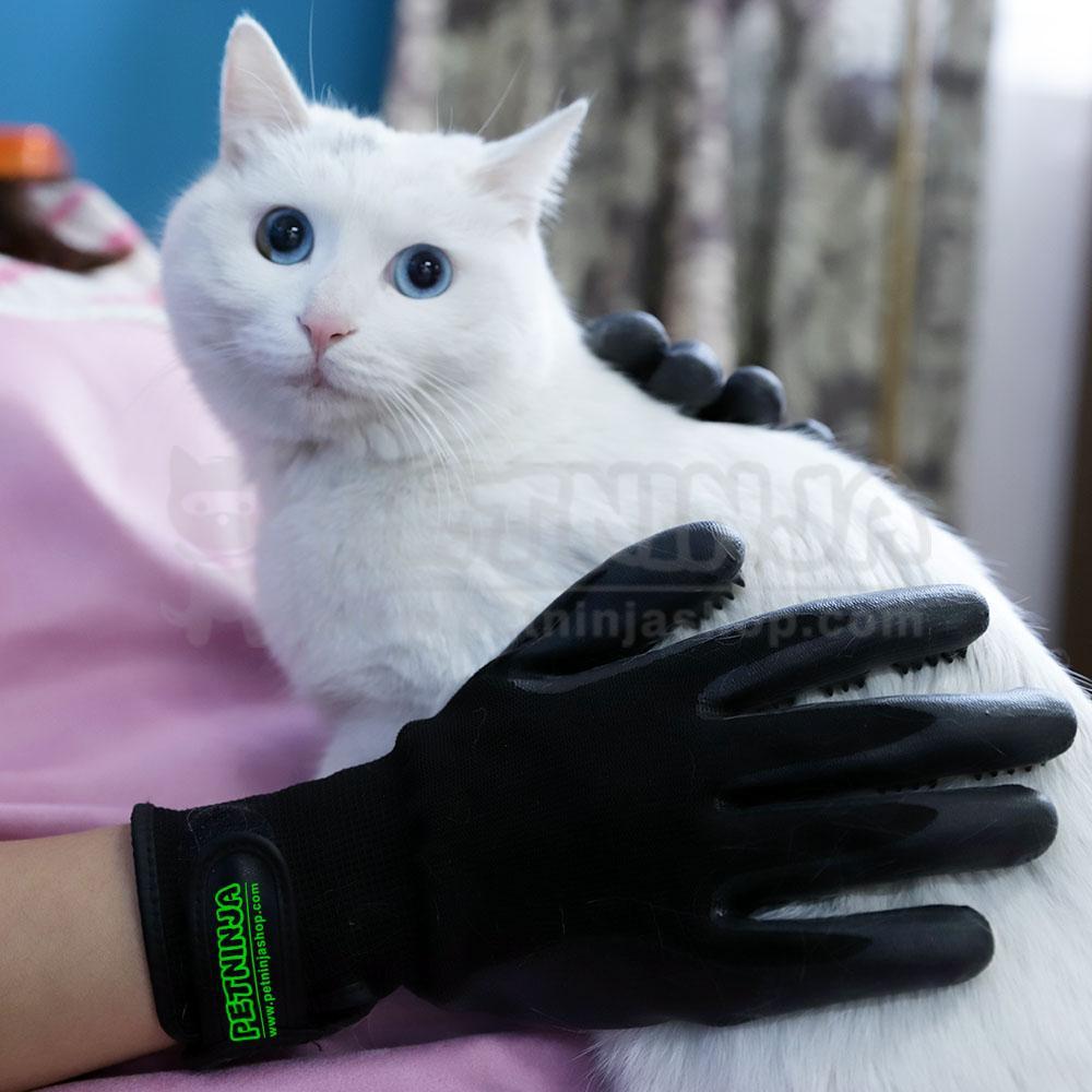 Gants de Toilettage Massage pour des Chats, Chiens et Chevaux, Nettoyage Facile/Livraison Gratuite