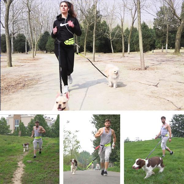 Laisse réglable de Course Mains-Libres pour Chien/ Promener un ou deux chiens en même temps/ Un sac poubelle gratuit