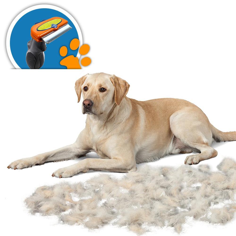 Outil de Toilettage Massage pour des Chats, Chiens et Chevaux, Deux tailles/Livraison Gratuite