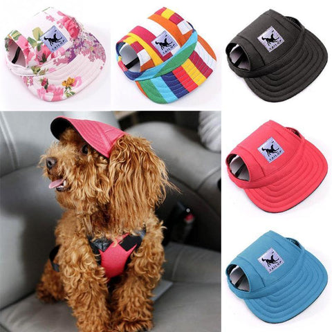 Casquette de Baseball pour Chien