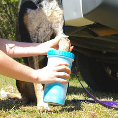 Pot Laveur de Pattes pour Chien