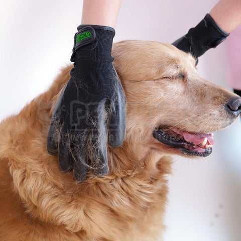 Gants de Toilettage Massage pour des Chats, Chiens et Chevaux, Nettoyage Facile/Livraison Gratuite