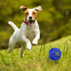 Balle Sonore Très Amusante/Distributeur d'Aliment pour Chien (Taille S)