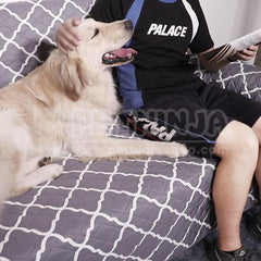 Protection de Canapé 2/3 Places, Réversible Anti-dérapant pour Animaux de Compagnie