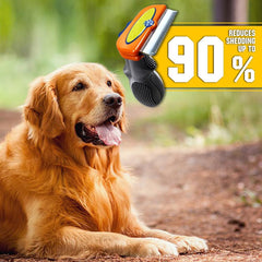 Outil de Toilettage Massage pour des Chats, Chiens et Chevaux, Deux tailles/Livraison Gratuite