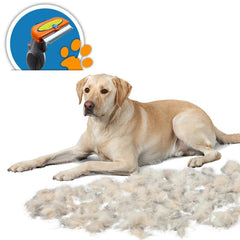 Outil de Toilettage Massage pour des Chats, Chiens et Chevaux, Deux tailles/Livraison Gratuite